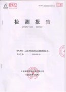 山东尊龙凯时农药化工集团有限公司土壤环境检测报告